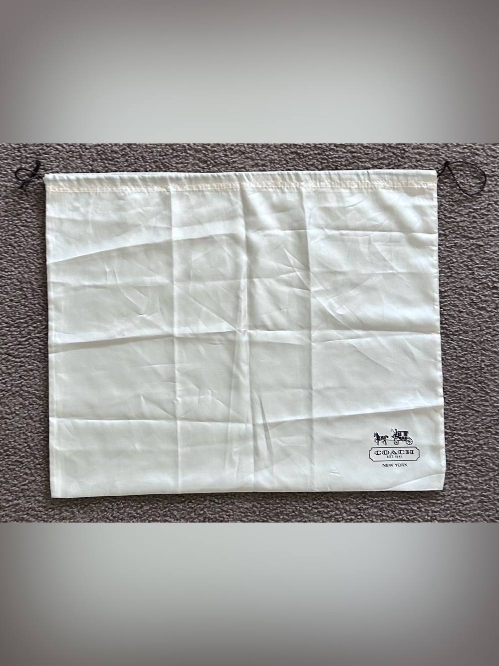 COACH Dust Bag